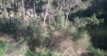 Prime Land for Sale in Aaraya – Baabda