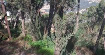 Prime Land for Sale in Aaraya – Baabda