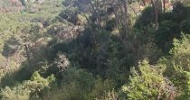 Prime Land for Sale in Aaraya – Baabda