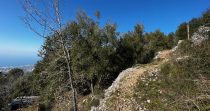 Land for Sale in Ghosta – Keserwan