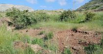 Land for Sale in Fakra – Kfardebian