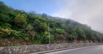 Land for Sale in Dlebta – Keserwan