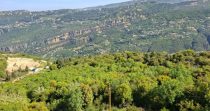 Land for Sale in Yahchouch – Kesserwan