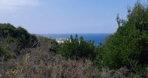 Land for Sale in Berbara – Jbeil