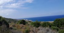 Land for Sale in Berbara – Jbeil