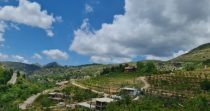 Land for Sale in Tannourine – Batroun