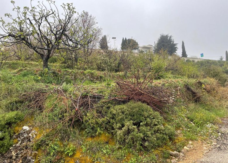 Land for Sale in Hadtoun – Batroun image