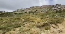 Land for Sale in Ehmej – Jbeil