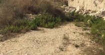 Ready-to-Build Land for Sale in Fatqa-Keserwan