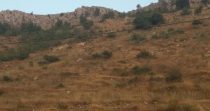 Land for Sale in Kfardebian – Keserwan