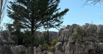 Superior Land for Sale in Faytroun -Keserwan