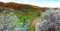 Land for Sale in Chatine – Batroun