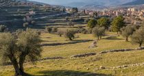 Investment Oportunity Land for Sale in Barhalioun – Bcharri