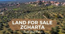 Primary Land For Sale in Zgharta – Karam Saddeh