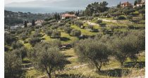 Rare Residential Land For Sale in Ain Saadeh – Metn