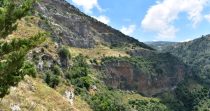 Development Land for Sale in Karm Saddeh -Zgharta