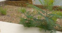 Luxury Apartment for Sale in Sahel Alma