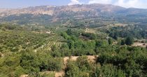 Villa for sale in Faqra – Kesserwan