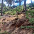 Land for sale in Selfaya – Aley