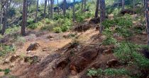 Land for sale in Selfaya – Aley