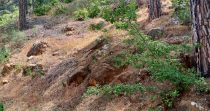 Land for sale in Selfaya – Aley